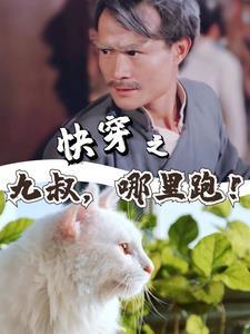 王妃穿越记免费阅读