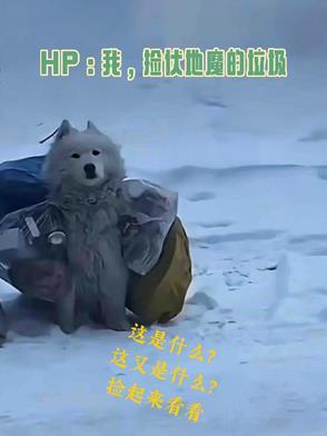 武道贫困生从杀猪开始横推星空思路客